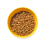 mockup-1.5-kg_fish-1-scaled
